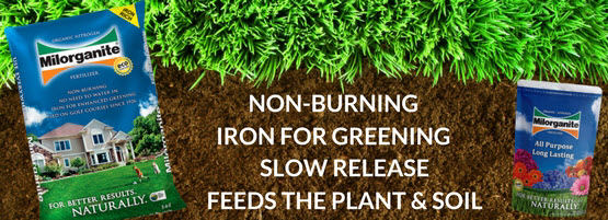 Milorganite Bags in soil and grass. Milorganite fertilizer bag in soil and grass