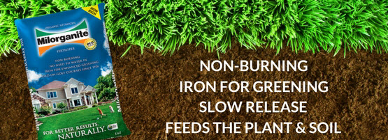 Milorganite 36lb Bag in dirt and grass. Use Milorganite to fertilize your lawn, this guide will help you with application rates and schedule.