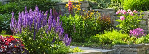 Colorful flower garden Milorganite fertilizer's steady release of nitrogen helps flowers keep their color.