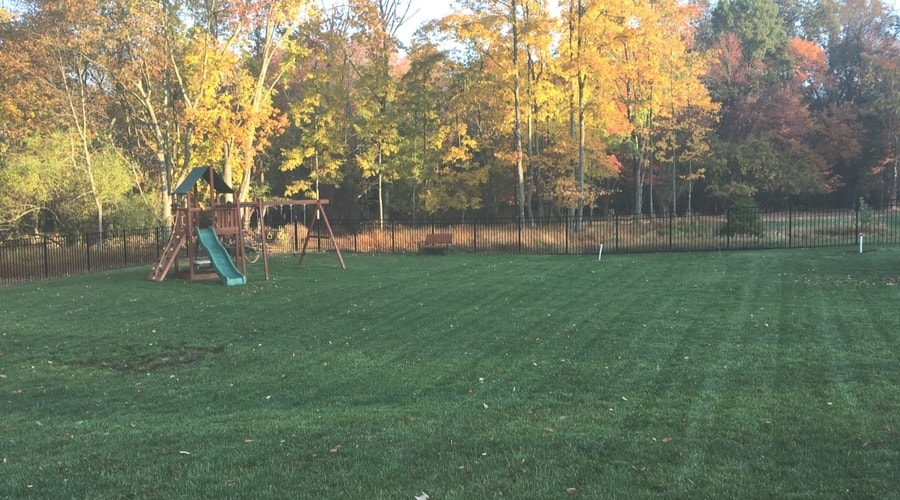 Backyard with lawn and swingset in fall.