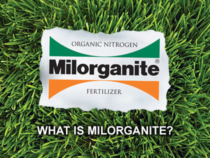 Why Use Milorganite