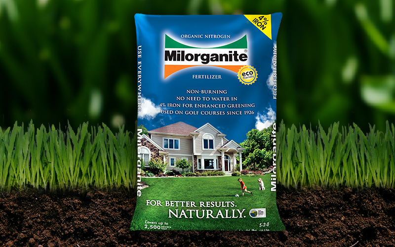 Lawn Care