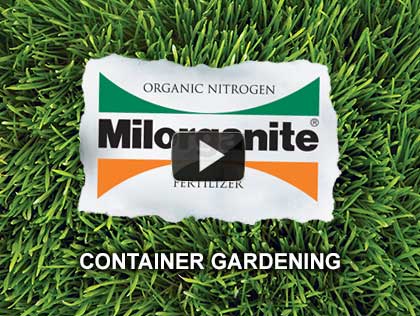 This video explains how to start a container garden.