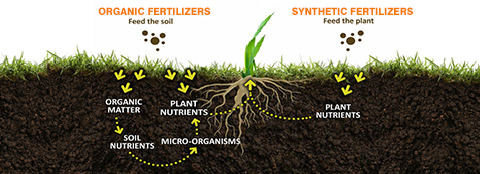 What are the disadvantages of artificial fertilizers?