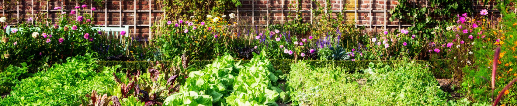 Melinda Myers Vegetable garden