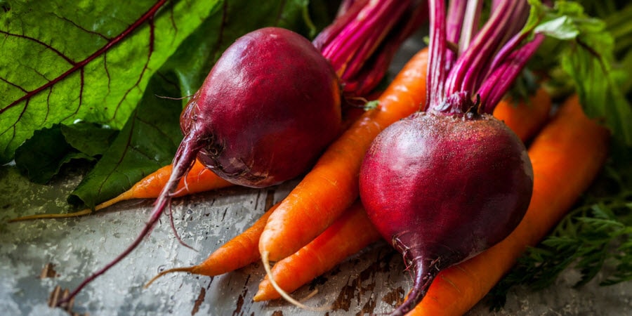 Beets and Carrots in the garden