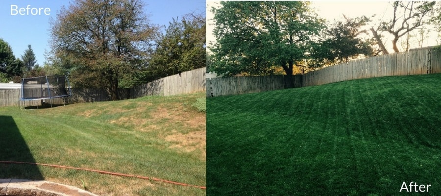 A lawn Before and After applying Milorganite fertiizer.