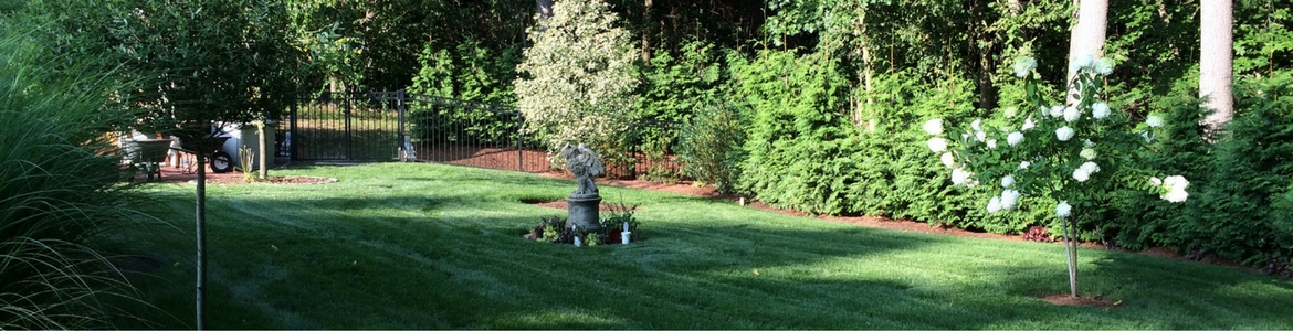 Lamp'l in garden Green healthy grass and trees.