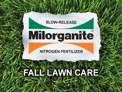 Fall Lawn Care
