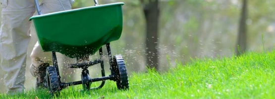 Man using spreader A man using a spreader to put down organic fertilizer on green, healthy grass.