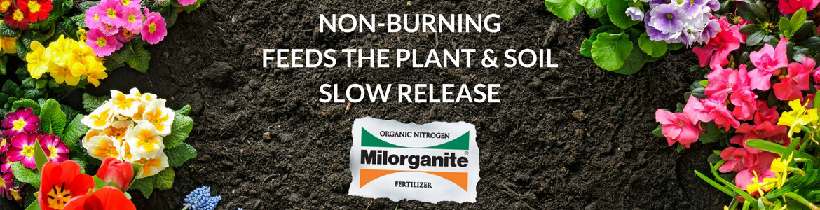Milorganite logo and brightly colored flowers Milorganite fertilizer promotes healthy flower gardens