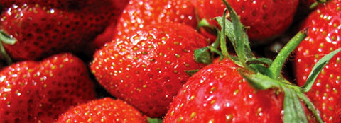 Bright red strawberries Bright red strawberries like these can be fertilized with Milorganite to give them the nutrition they need.