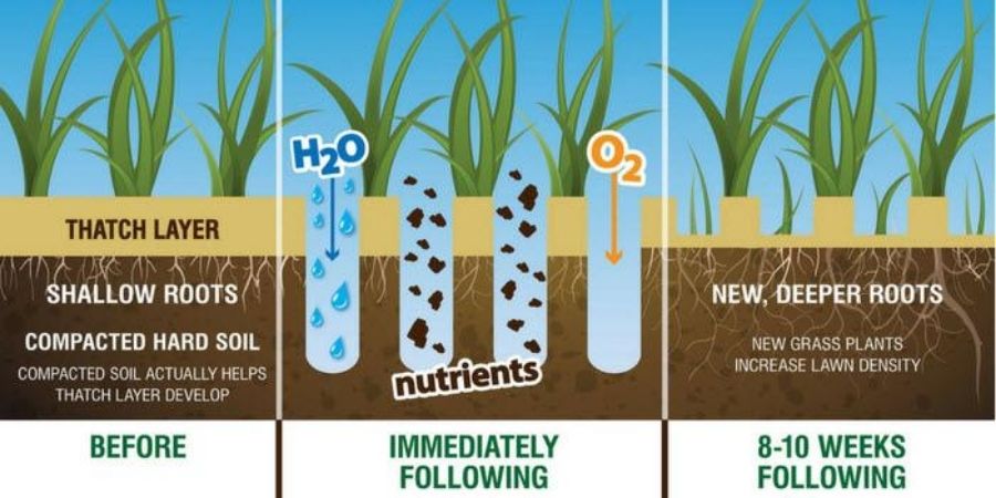 graphic illustrating how aeration works