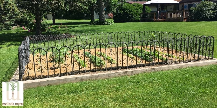 Vegetable garden inside a metal gate