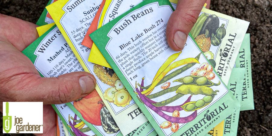 hand holding seed packets