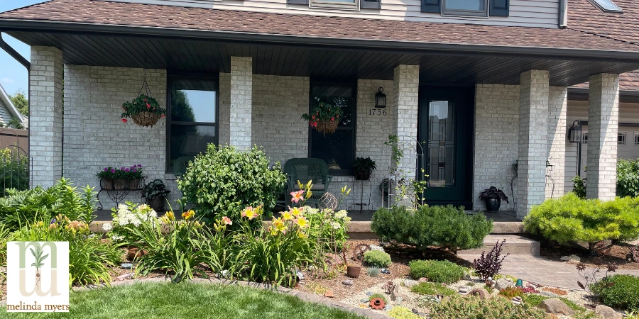 curb appeal shrubs in front of house