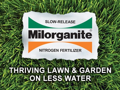 Water Conservation in the lawn and garden