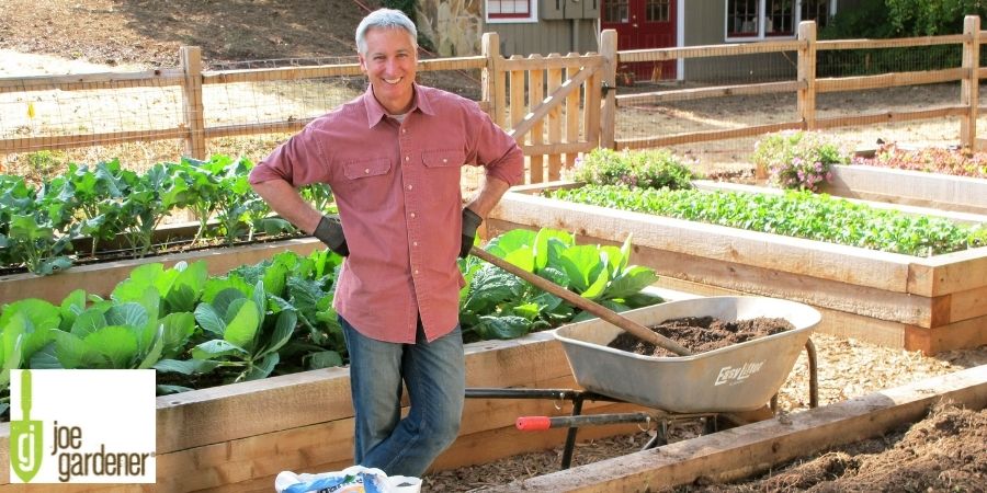 Joe Lamp'l standing by raised bed garden