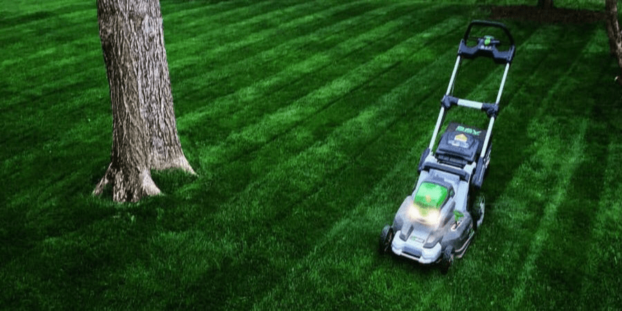 lawn mower on green grass