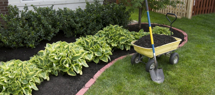 Mulching a Garden Bed