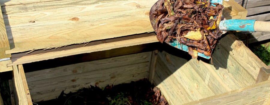 Adding leaves to the compost bin