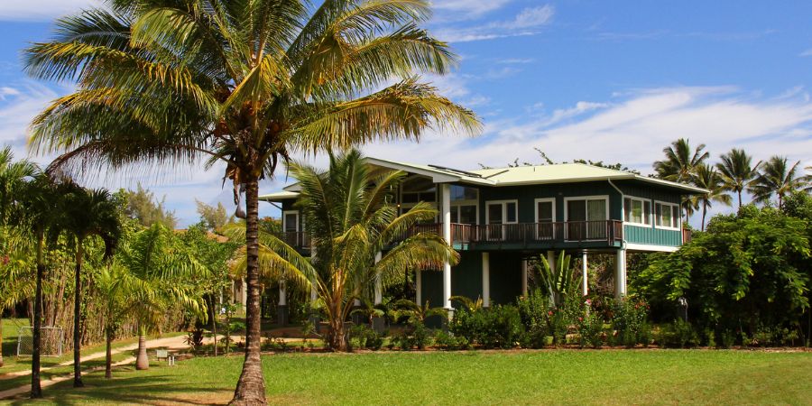 palm trees in front of house