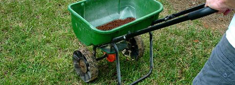 Person using spreader Green grass being fertilized with Milorganite fertilizer through a spreader.