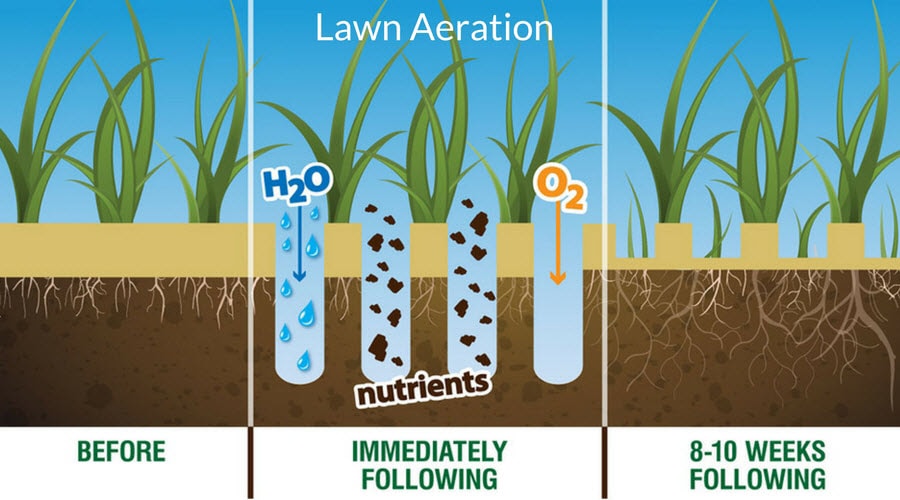 Results of Aerating your Lawn