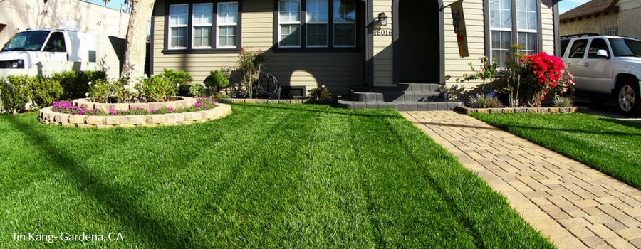 How To Get A Healthy Lawn Beautiful California Lawn