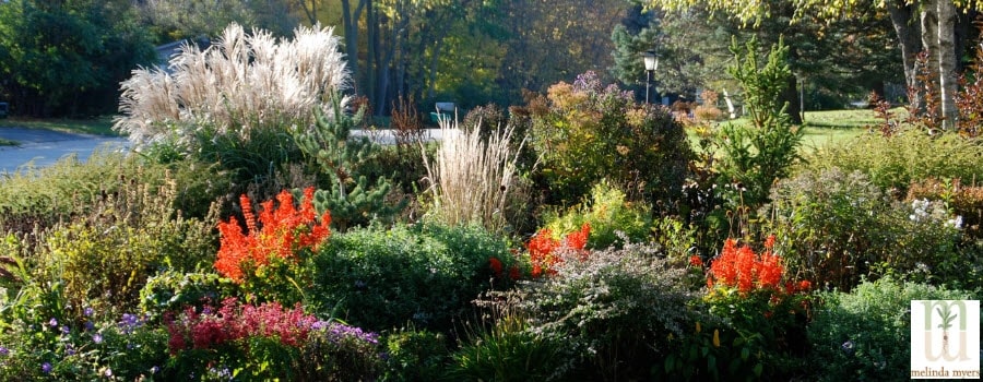 Fall Perennial Garden