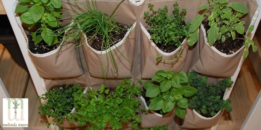 herbs in a hanging rack