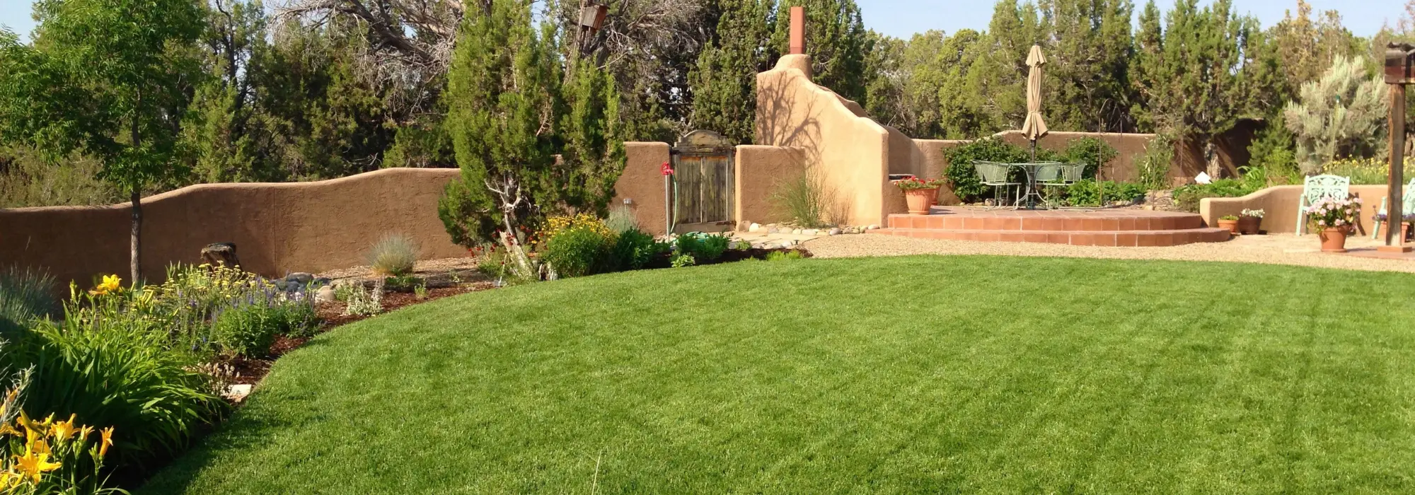 Gary - Farmington, NM lawn and backyard