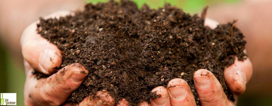 Hands holding compost