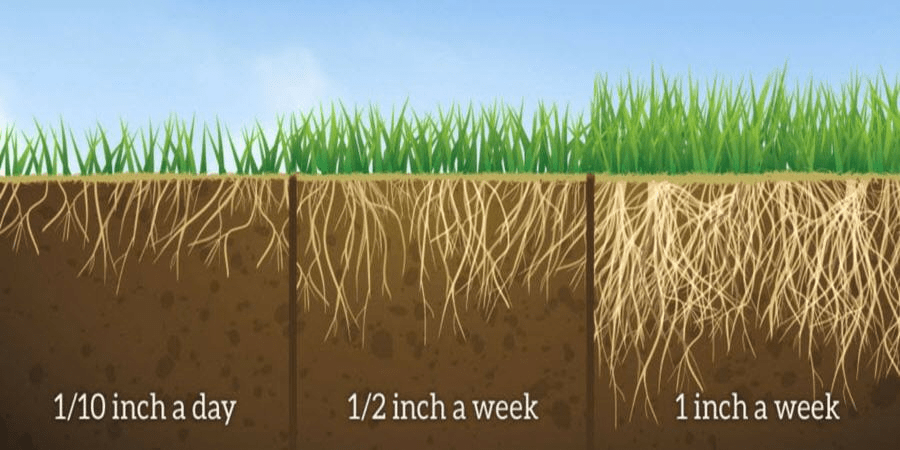 WateringLawnGraphic900x450.png