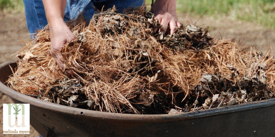 yard debris in a wheelbarrow