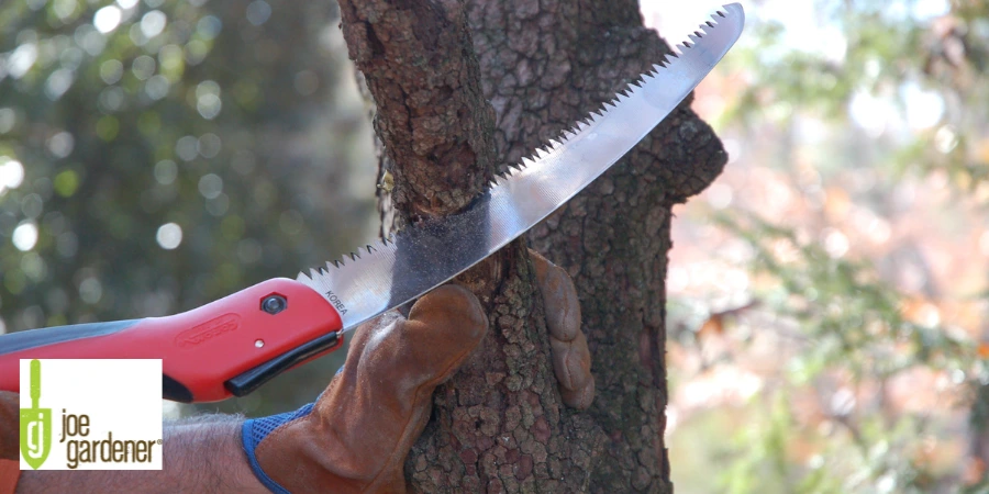 curved blade bypass pruner