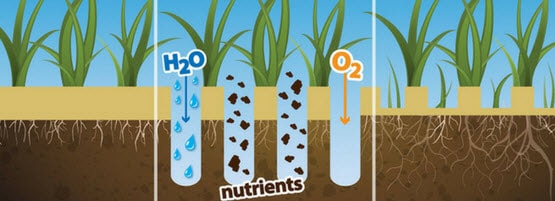 Aerating Your Lawn Milorganite Aerating Your Lawn Milorganite