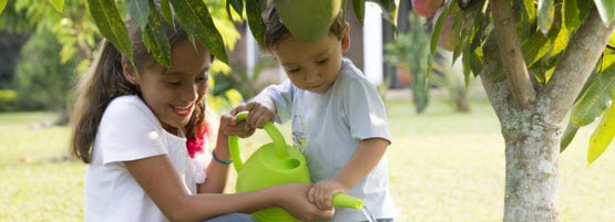 Children-Watering555x201-min.jpg