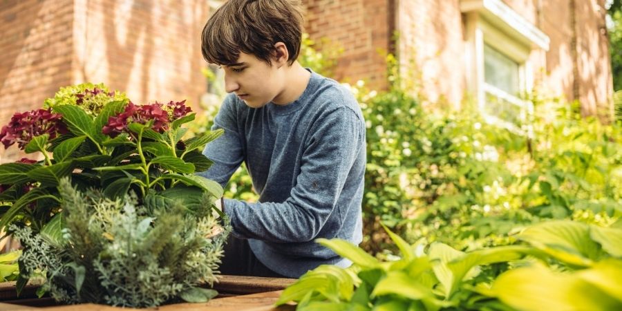 Kids Interested Gardening Teenager gardening Raised Bed