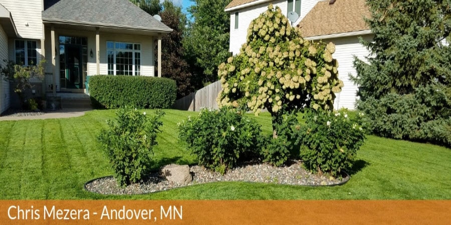 A lawn and landscape in spring.