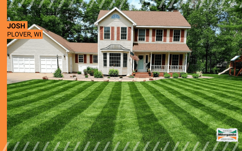 Green and healthy lawn in Wisconsin fertilized with Milorganite fertilizer. 