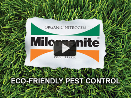 Eco-Friendly Pest Control in the Garden