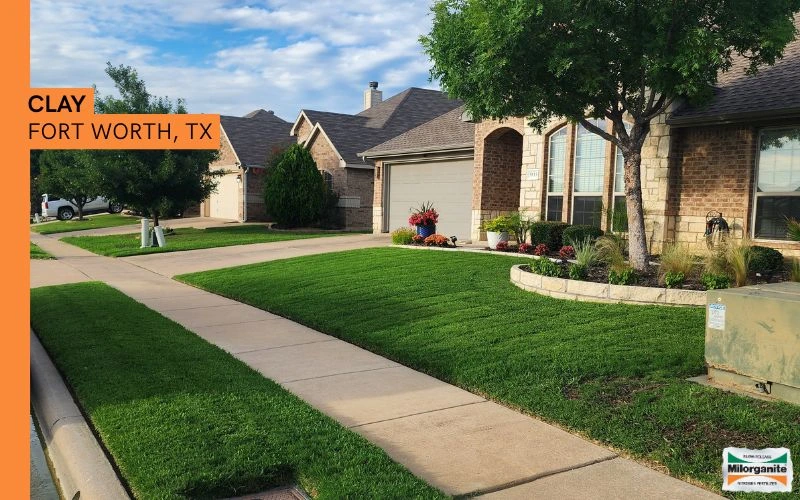 Healthy green lawn in Texas that is fertilized with Milorganite.