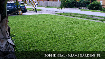 Healthy Lawn Bright green lawn in Florida, fertilized with Milorganite.