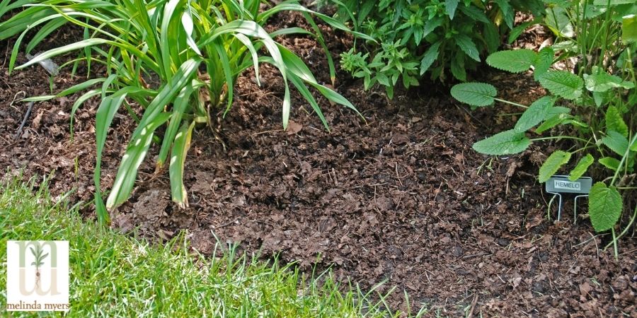 shredded leaf mulch