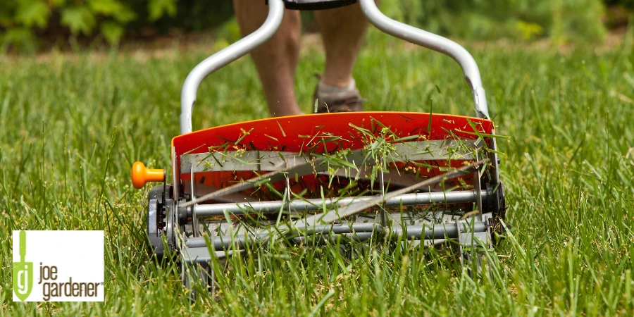 lawn mower mowing grass