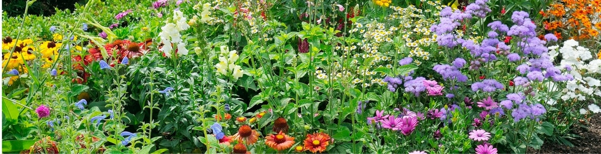 Beautiful flower garden. A colorful and beautiful flower garden fertilized with Milorganite fertilizer.