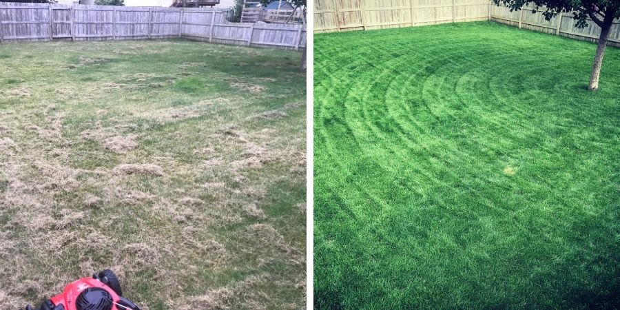 before and after backyard with a fence