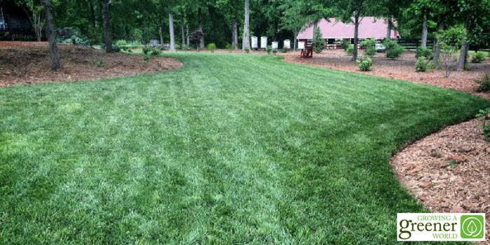 sandy top dressing for lawns