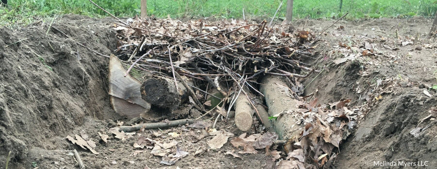 starting the trench and logs for a Hugelkultur garden